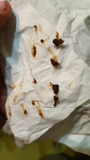 User picture 5
